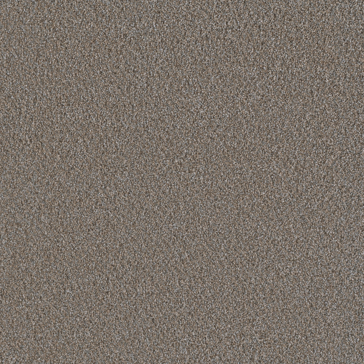 Butter Pecan Metropolis III swatch