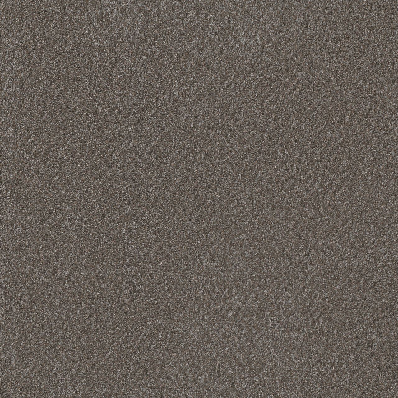 Eucalyptus Metropolis III swatch