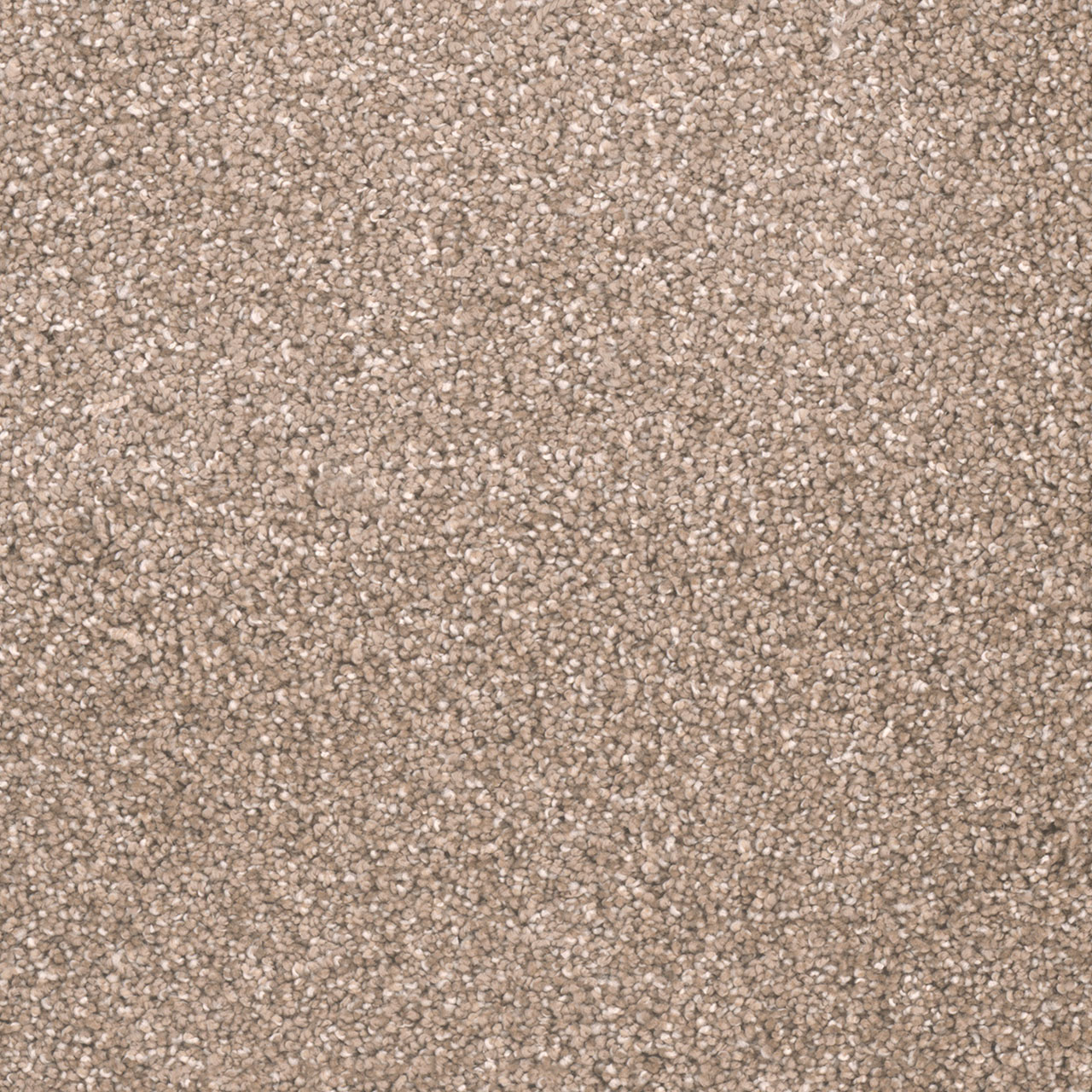 Acorn Metropolitan II swatch