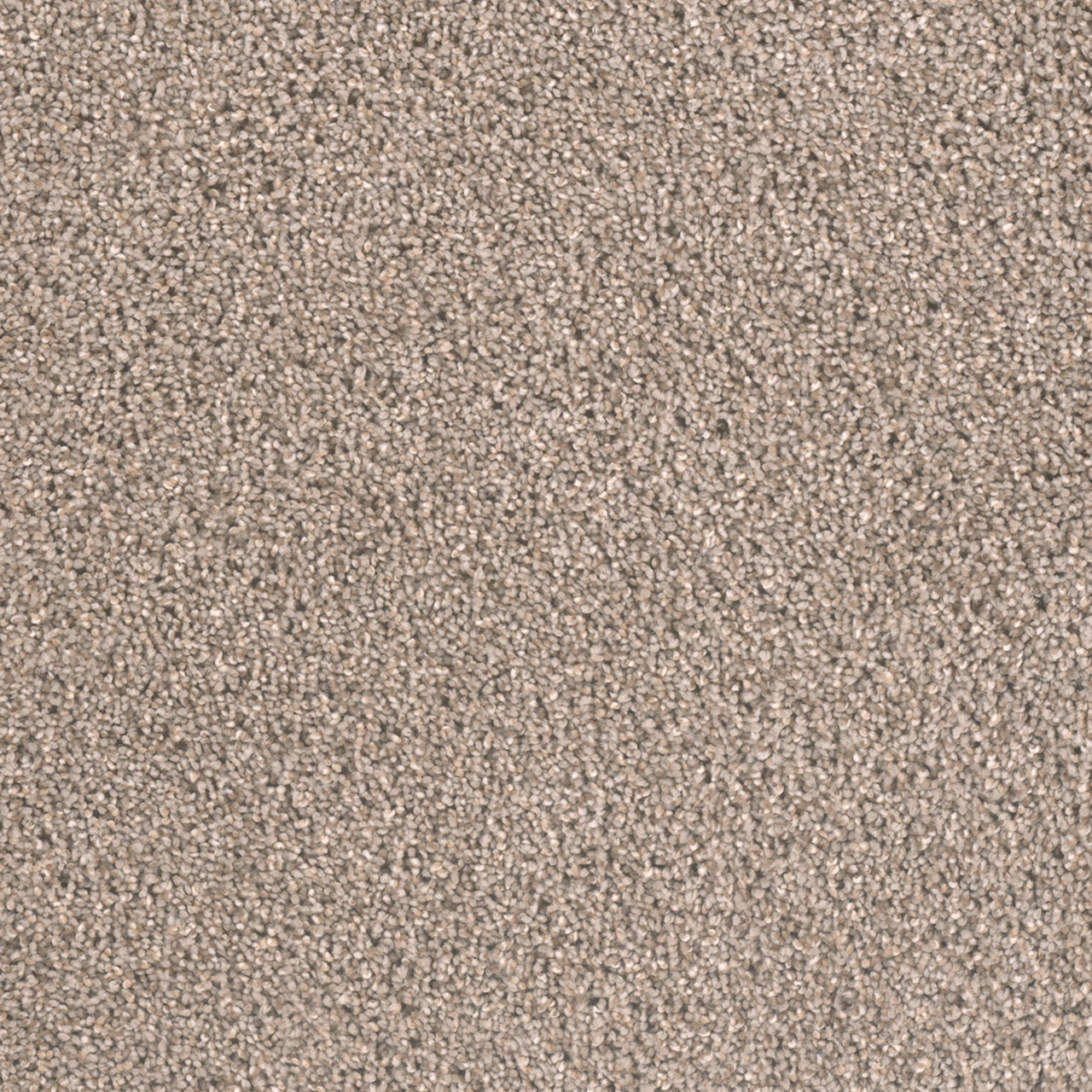 Ash Metropolitan II swatch