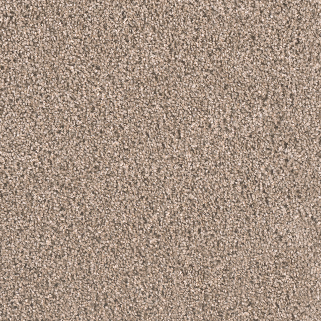 Mocha Metropolitan II swatch