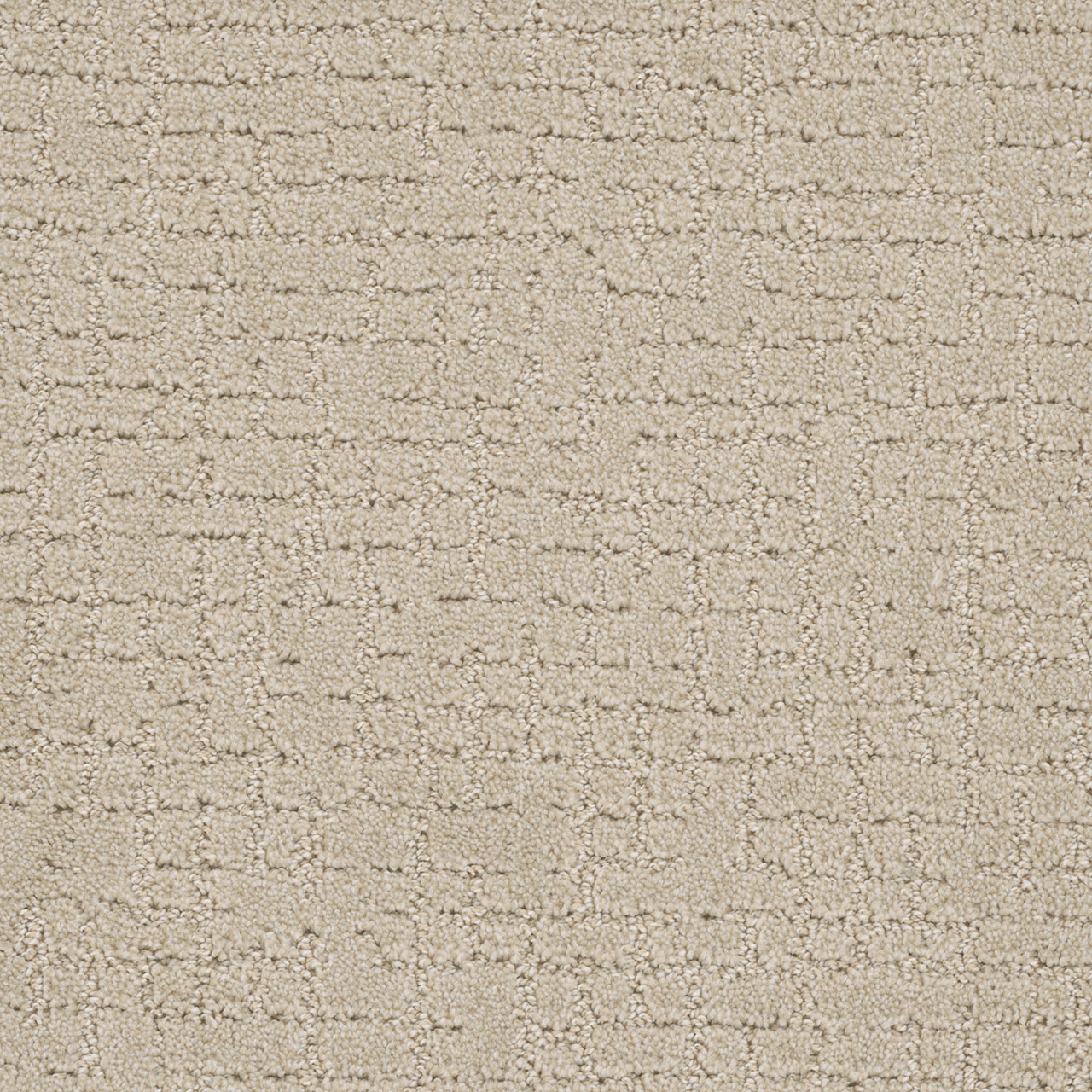Champagne Fizz Modern Edge swatch