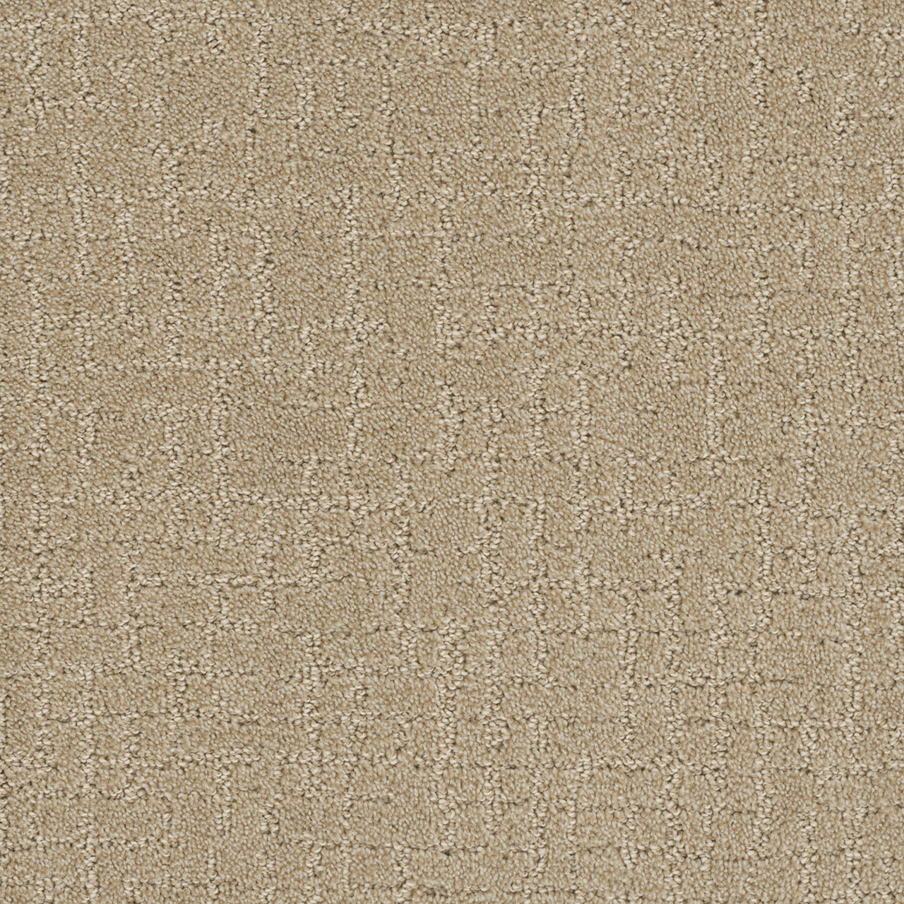 Soft Pine Modern Edge swatch