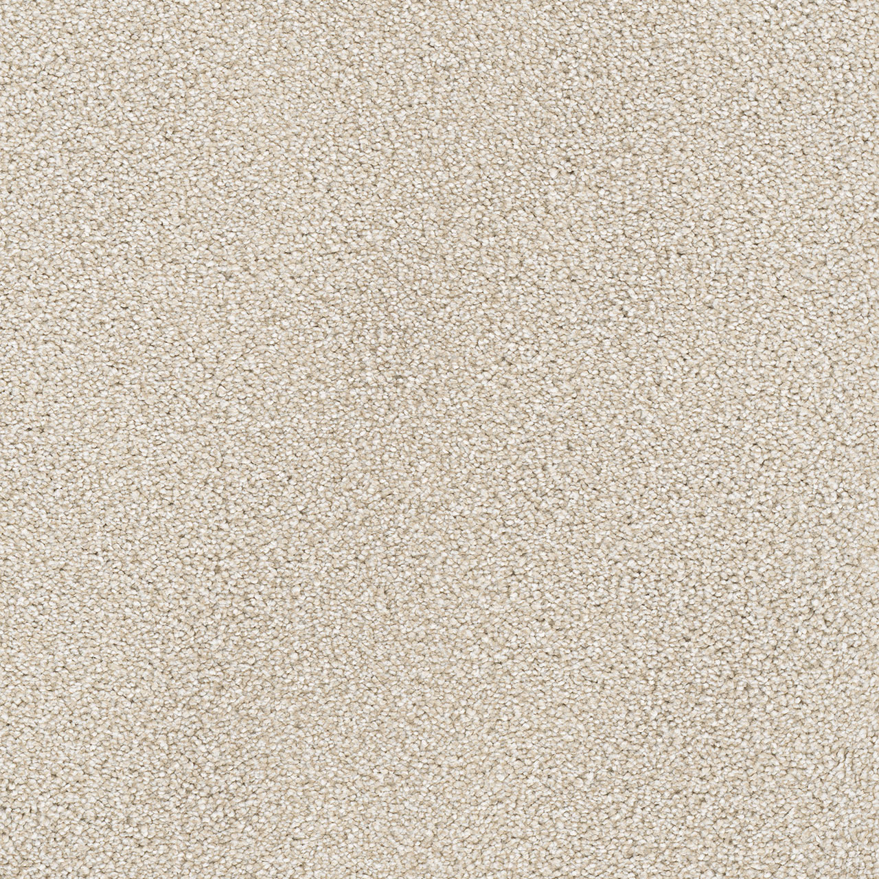 Parchment Montauk swatch