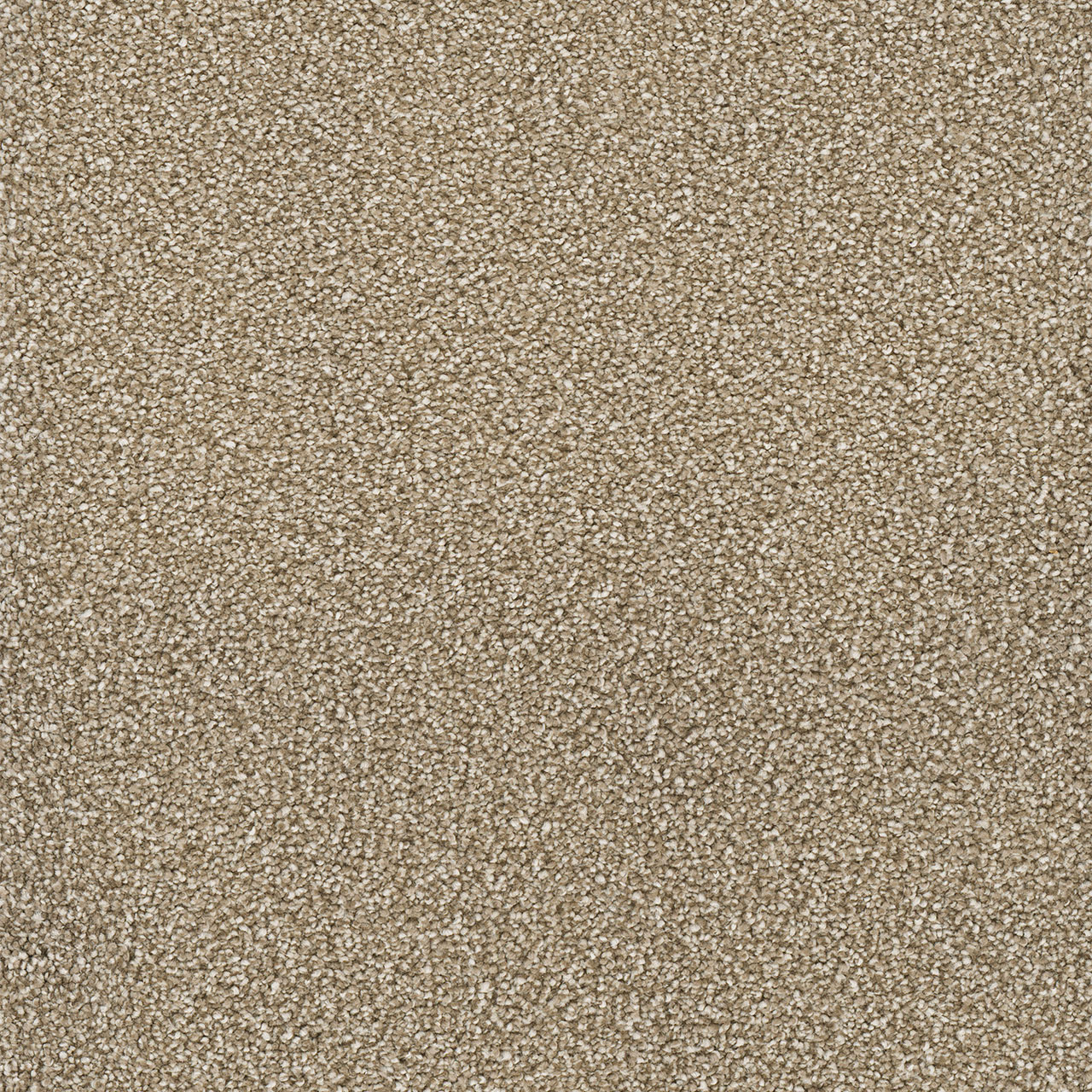 Quail Montauk swatch
