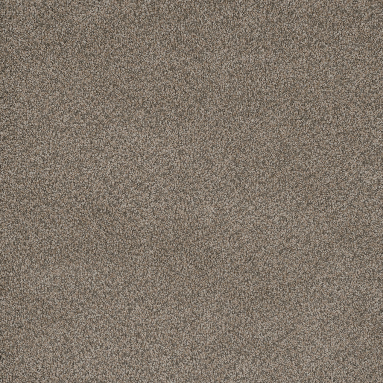 Umber Monte Carlo I swatch