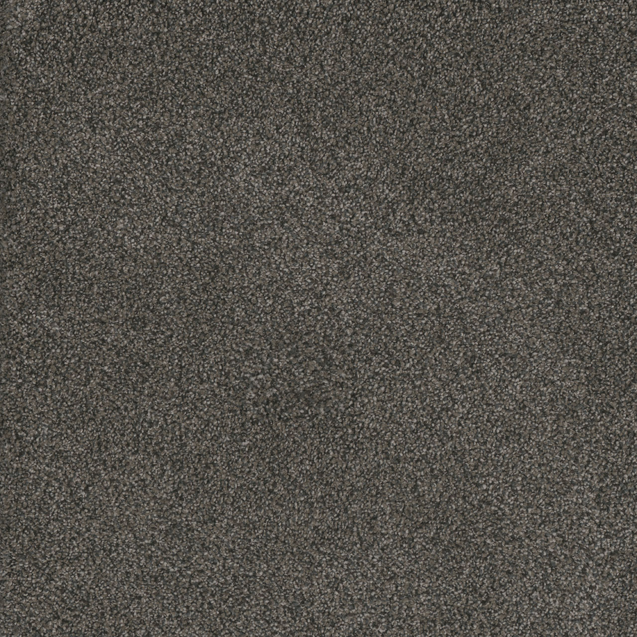 Burnt Amber Monte Carlo II swatch