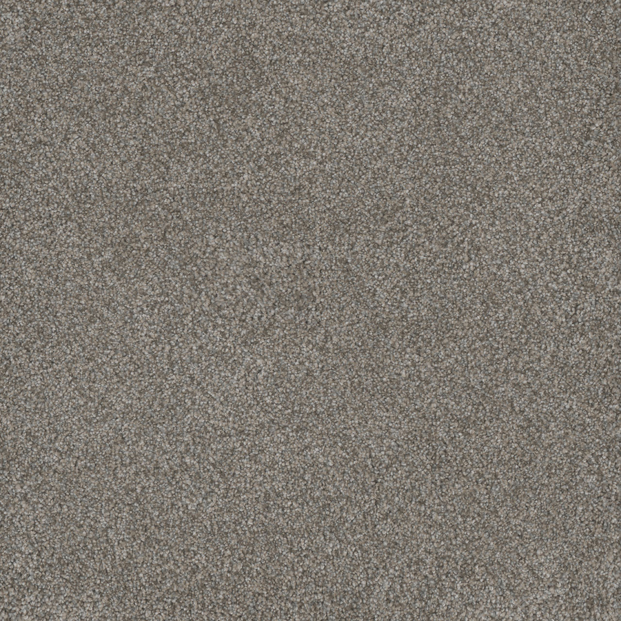 Dogwood Monte Carlo II swatch