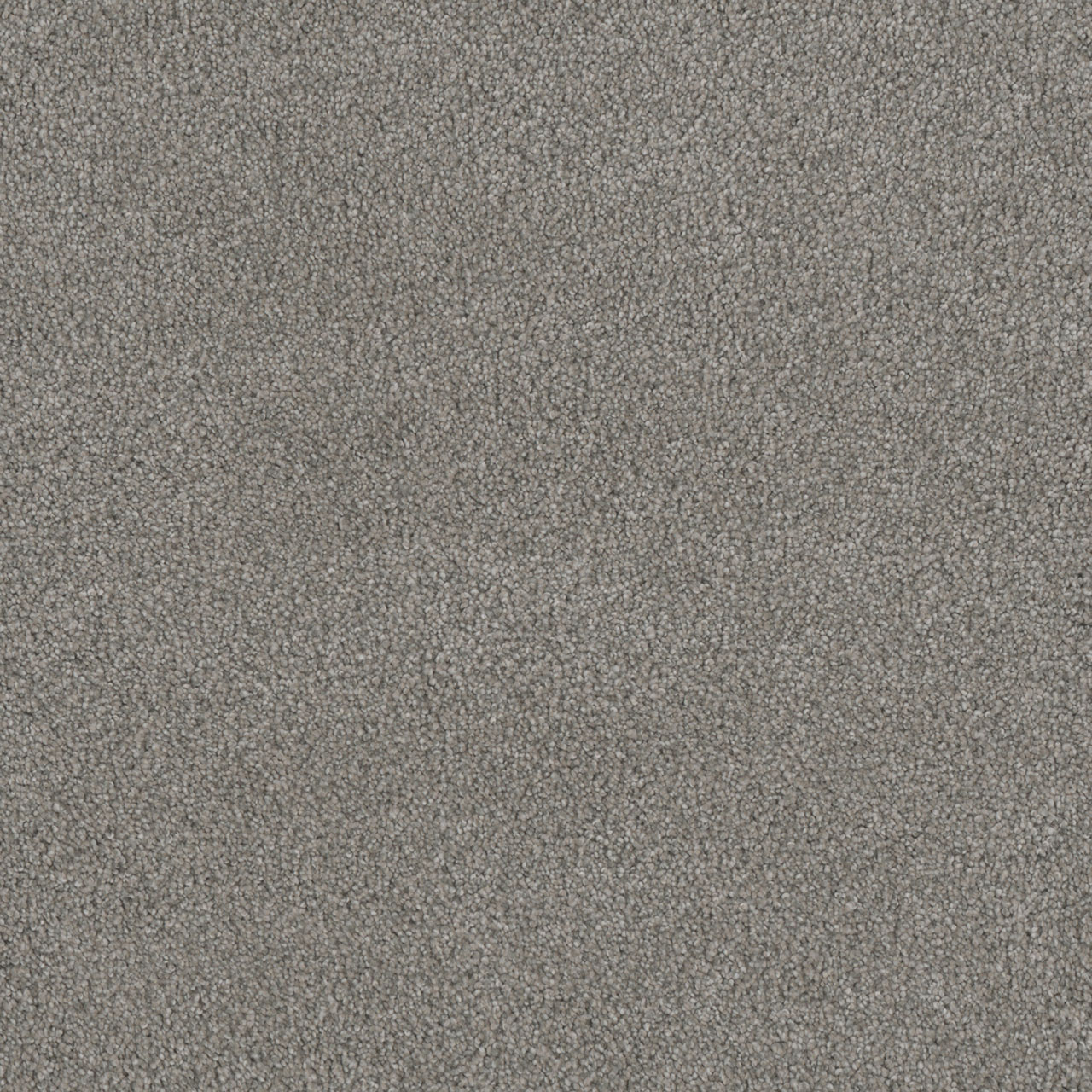 Winterscape Monte Carlo II swatch