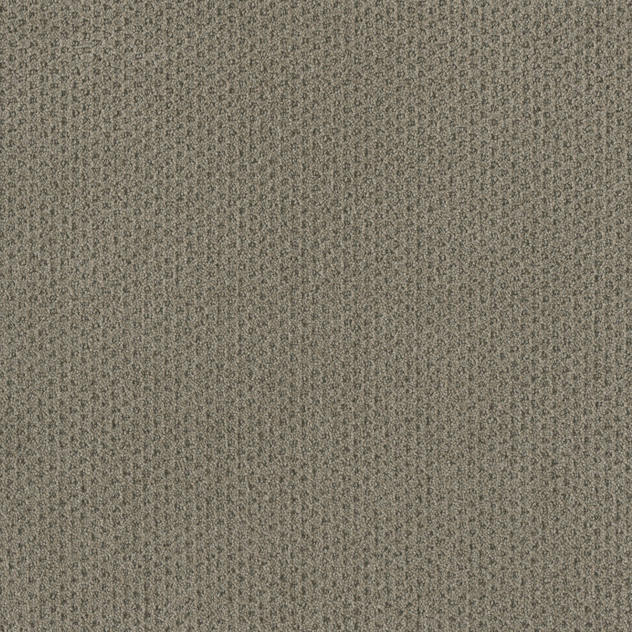 Timber Ridge Moon Bay swatch