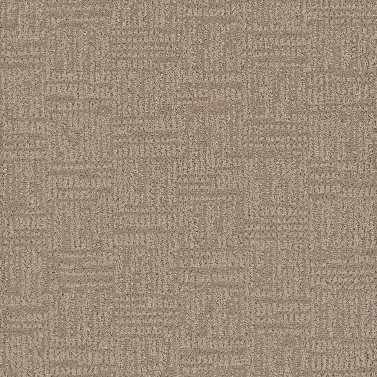 Pale Birch Mystique swatch