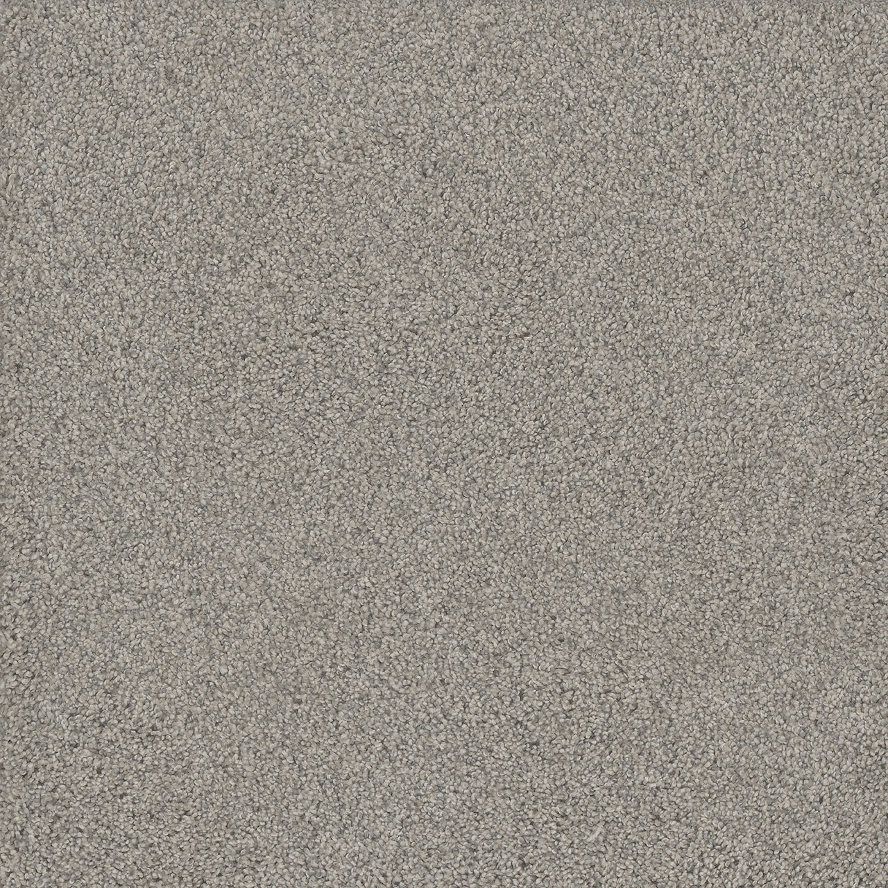 Beach Sand No Limits II swatch