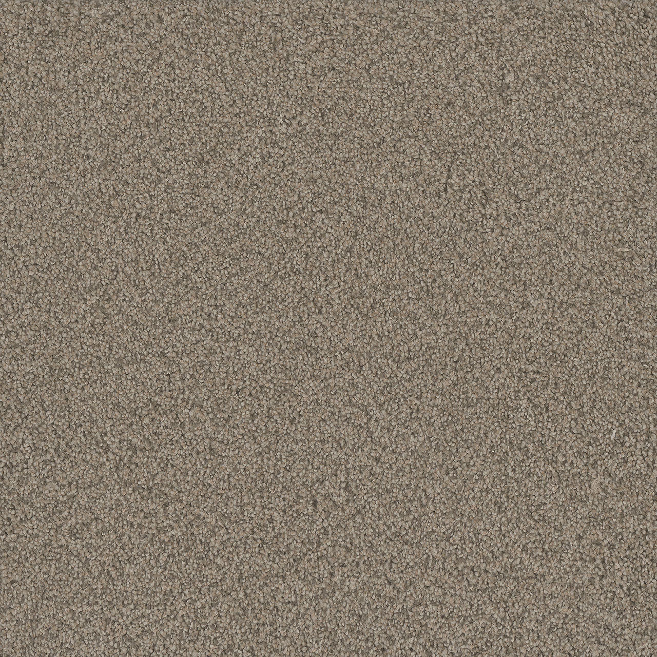 Meadowlark No Limits II swatch