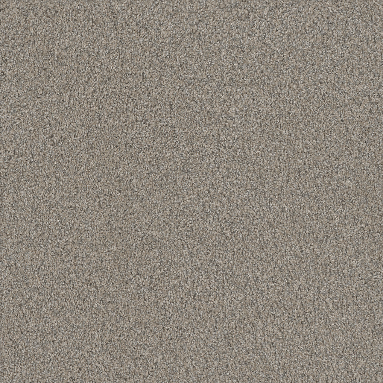 Cloud Gate No Limits III swatch