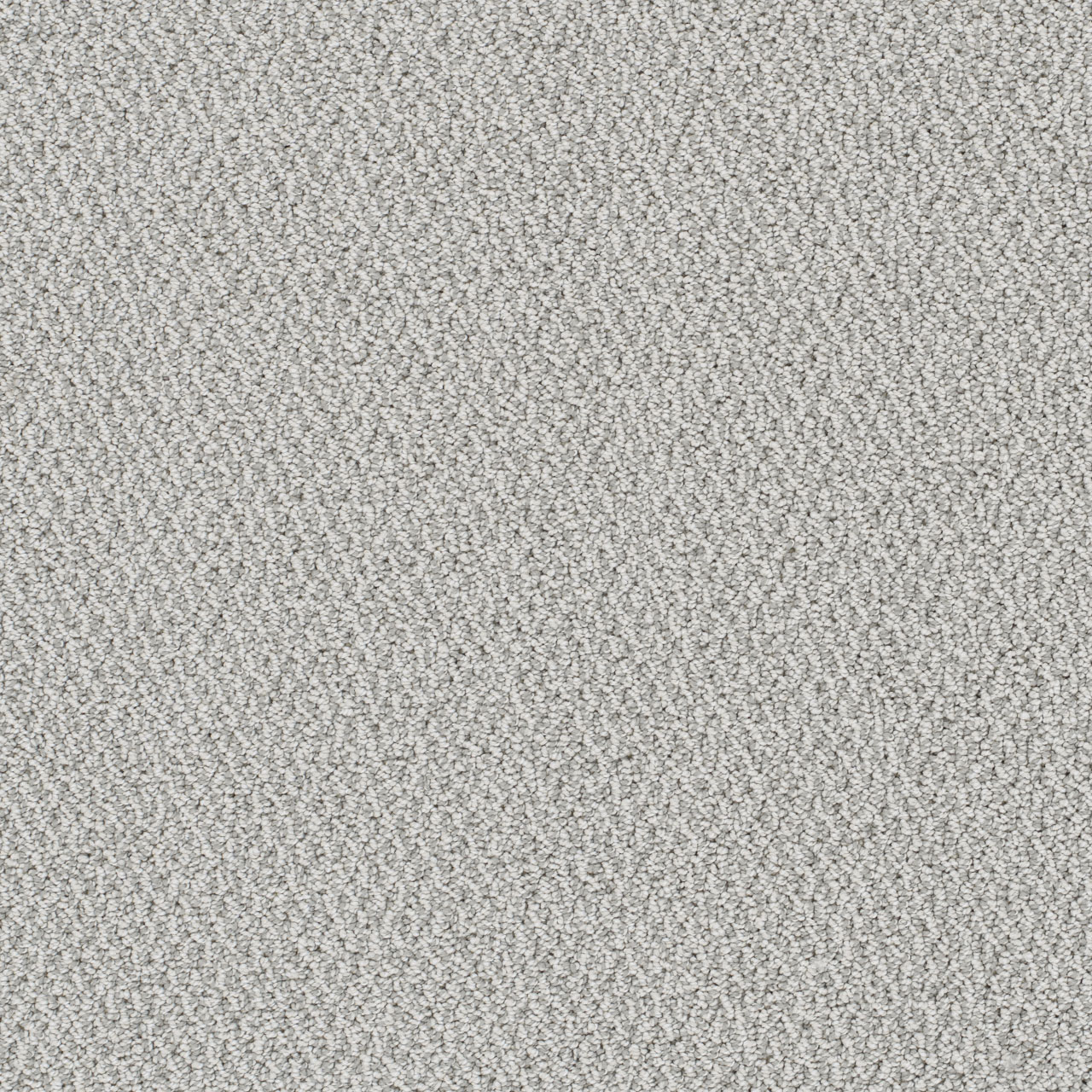 Nautilus Palazzo swatch