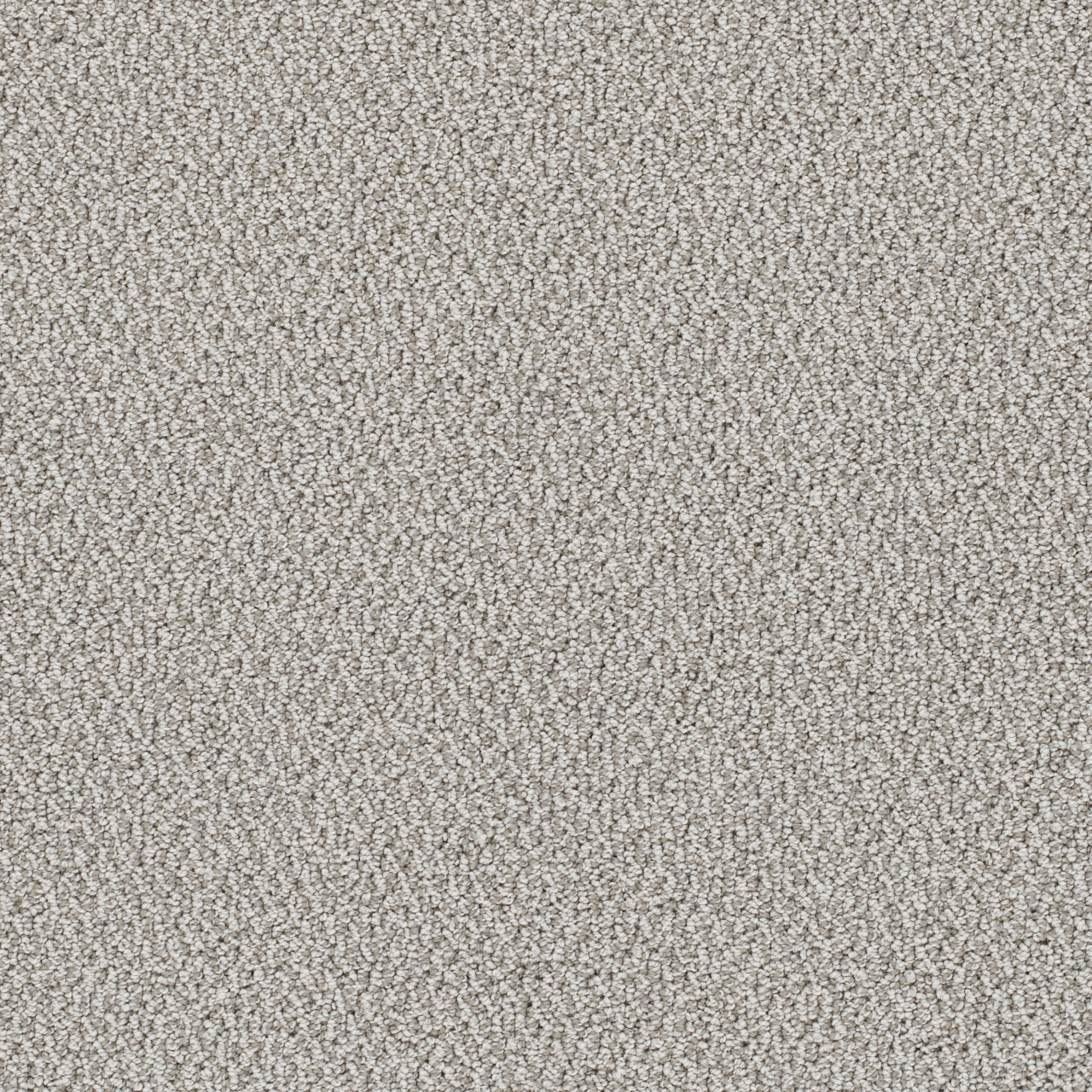 Riviera Palazzo swatch