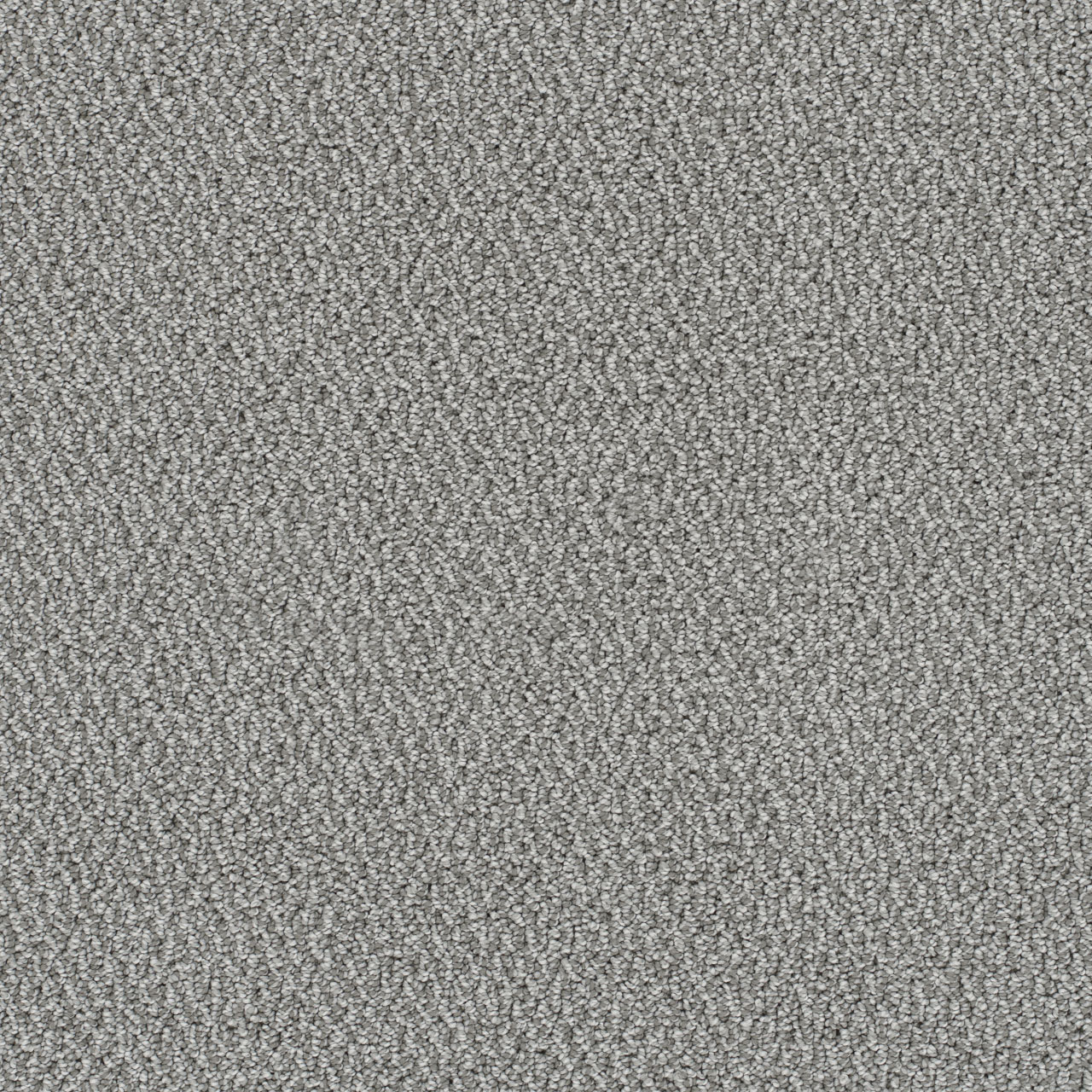 Royalty Palazzo swatch