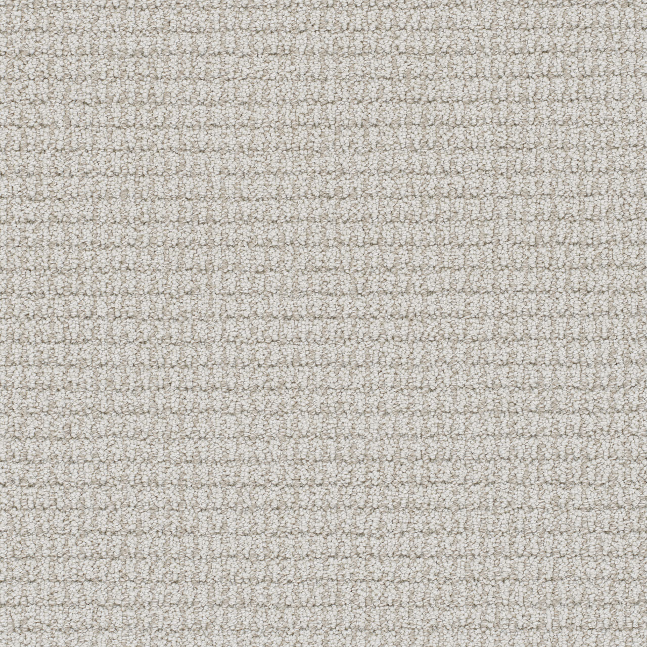 Serene Palma swatch