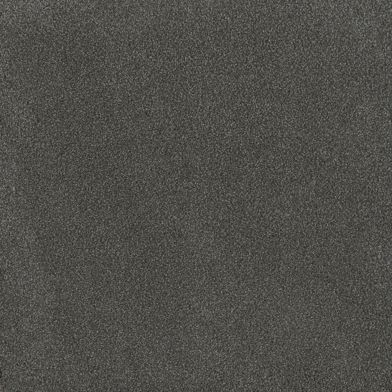 Flint Palmetto I swatch