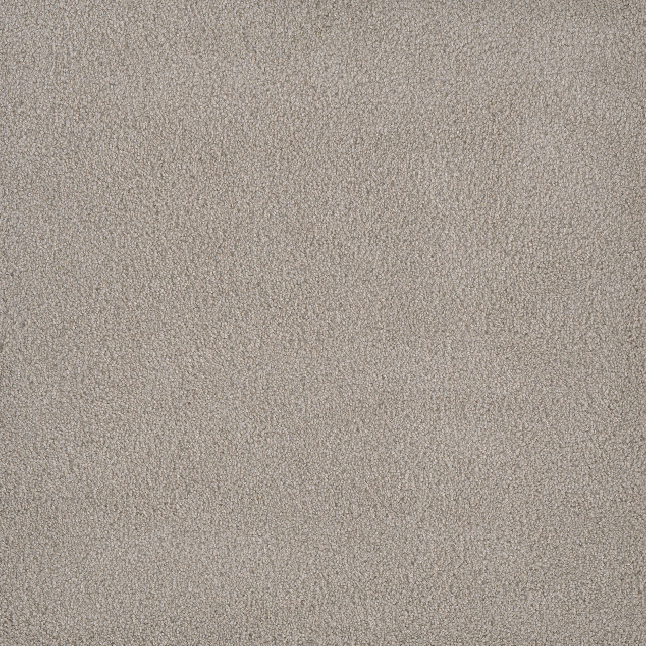Gardenia Palmetto I swatch