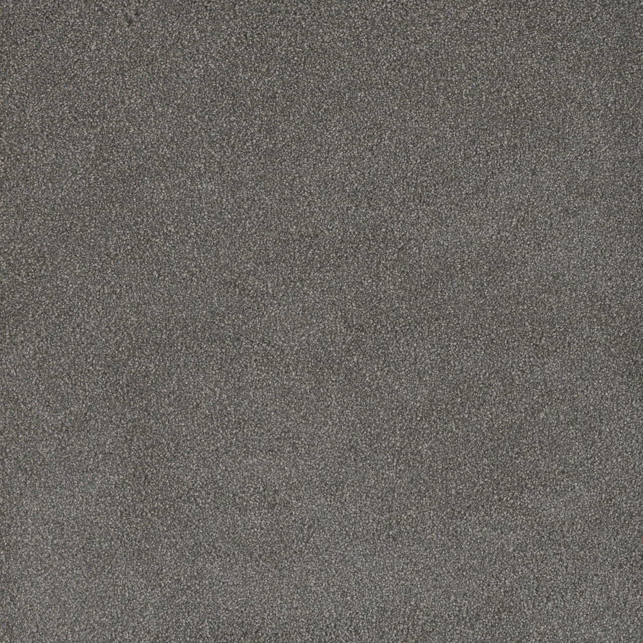 Bay Leaf Palmetto II swatch