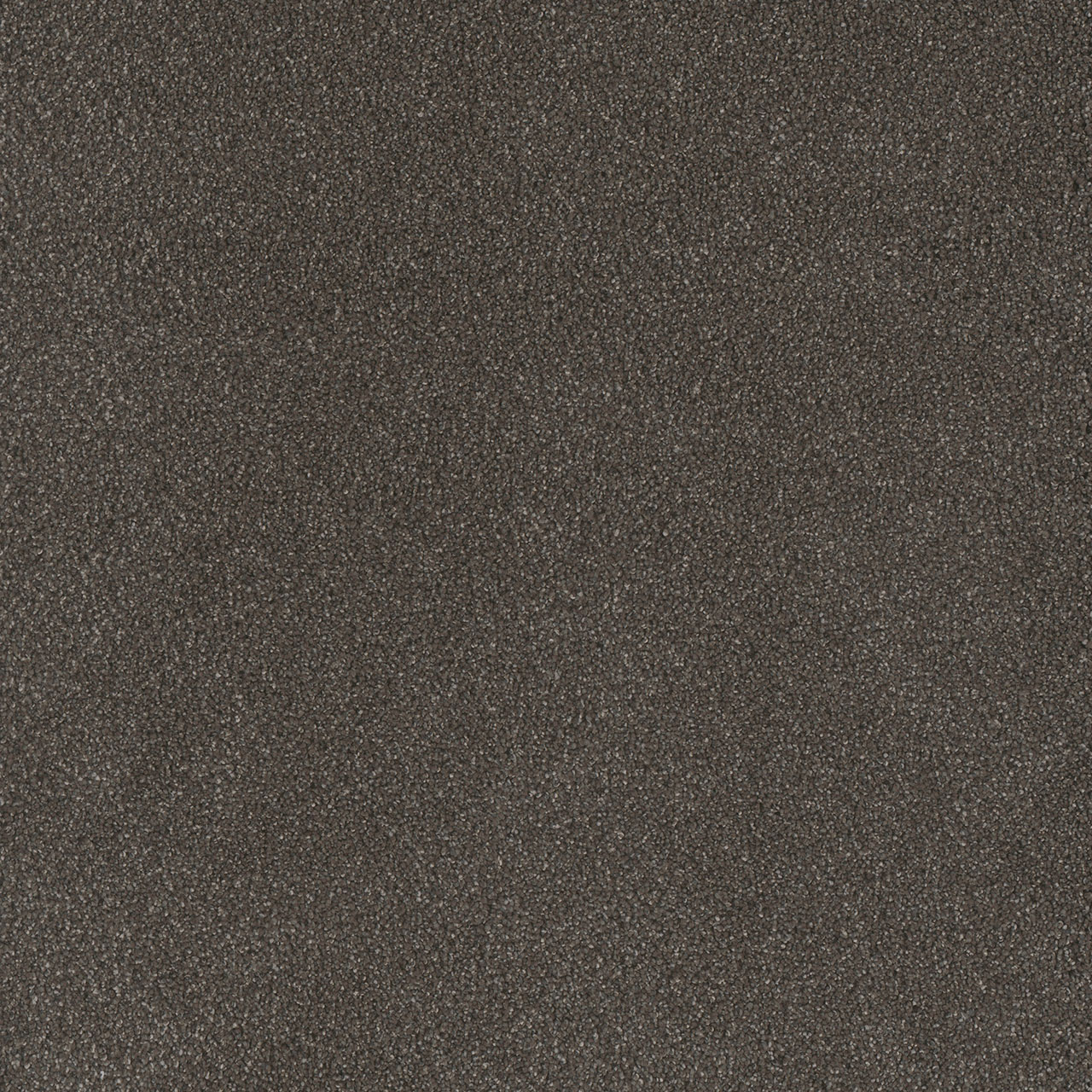 Bear Paw Palmetto II swatch
