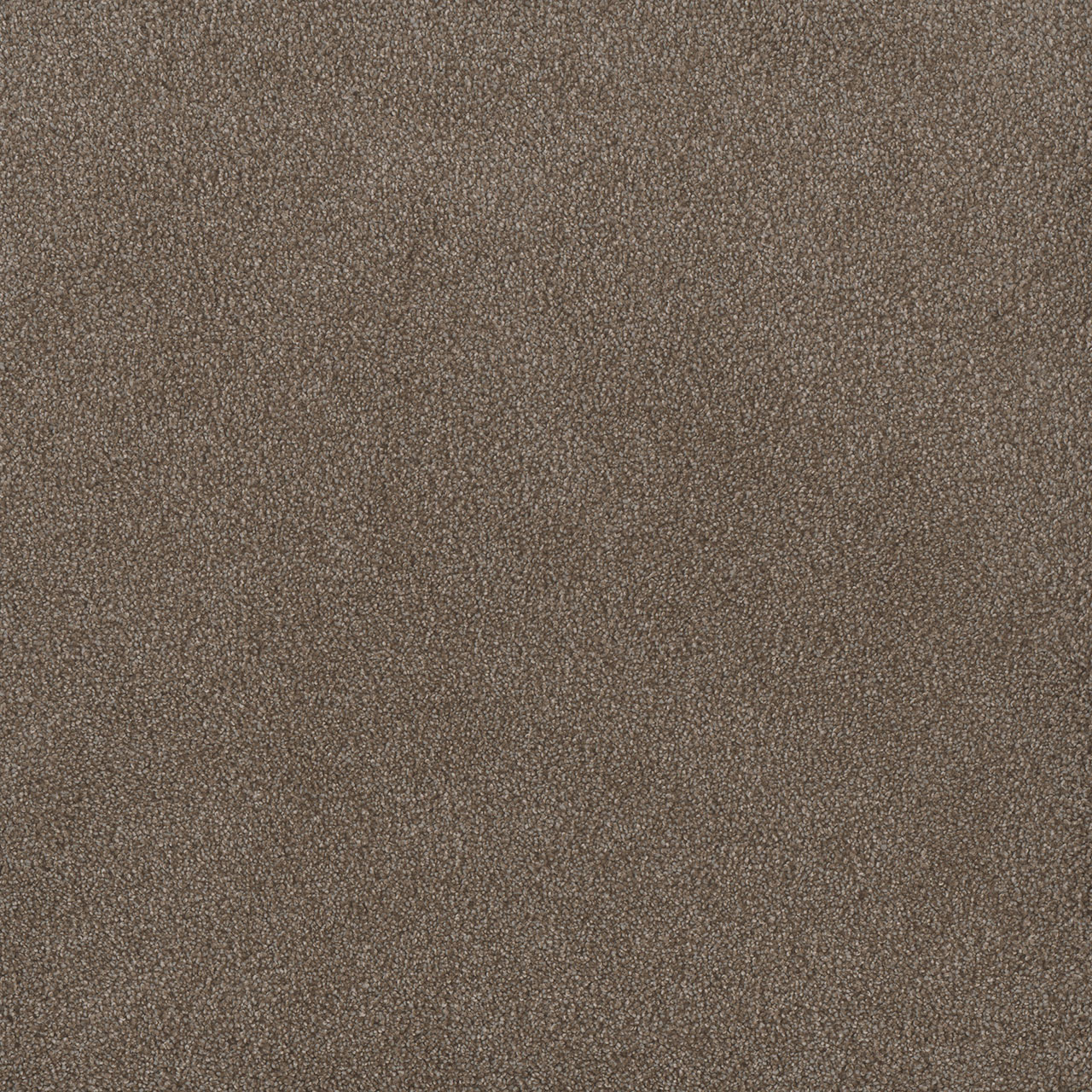 Eagle Crest Palmetto II swatch
