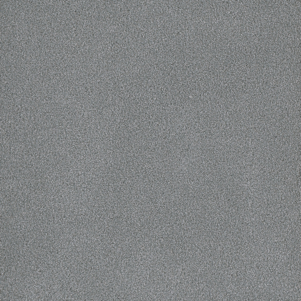 Skylight Palmetto II swatch