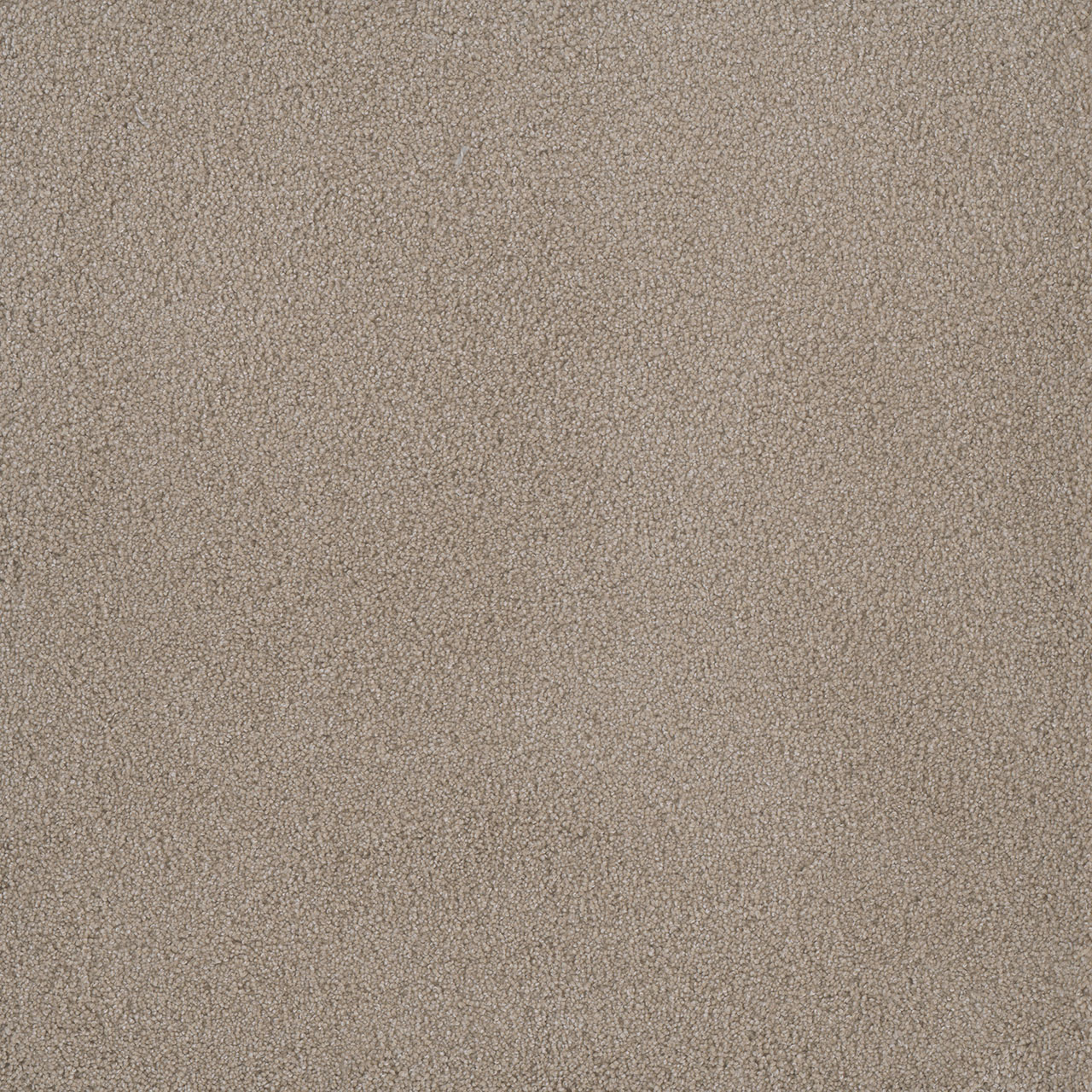 Sun Washed Palmetto II swatch