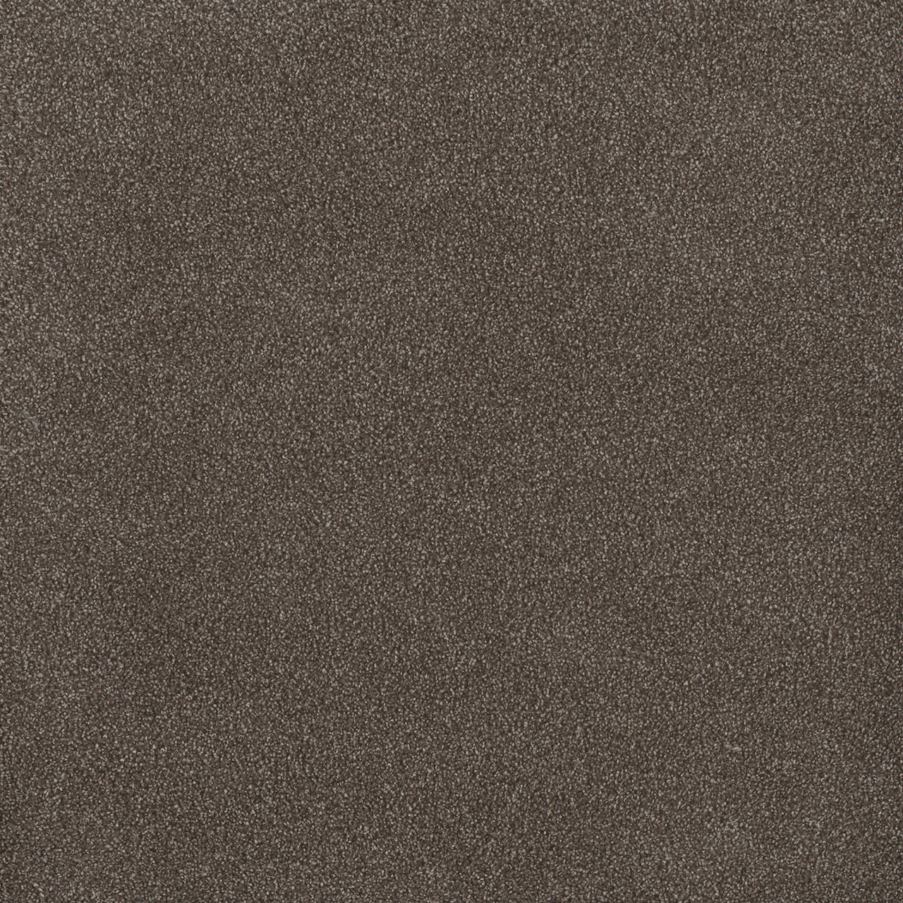 Tea Time Palmetto II swatch