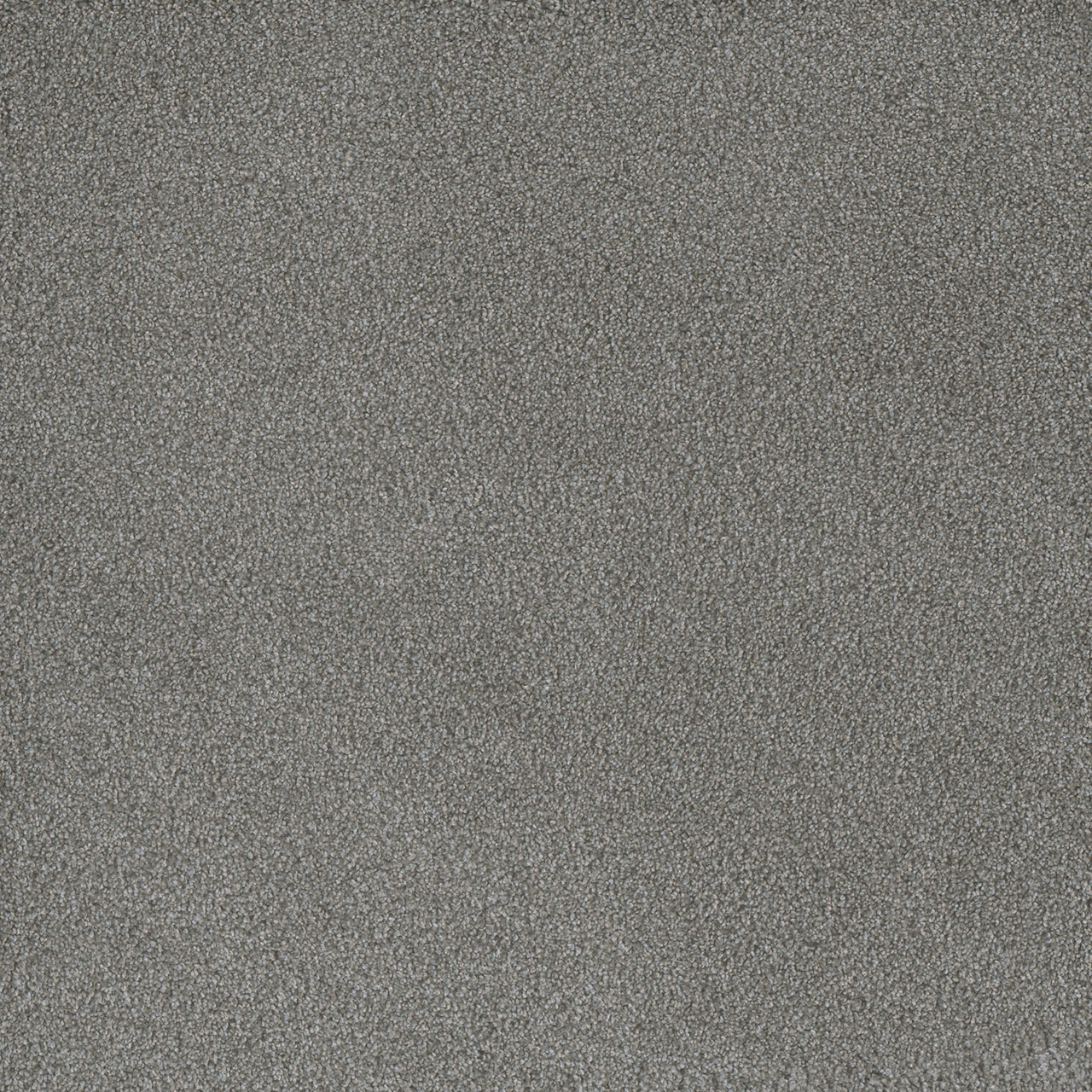 Waterlily Palmetto II swatch