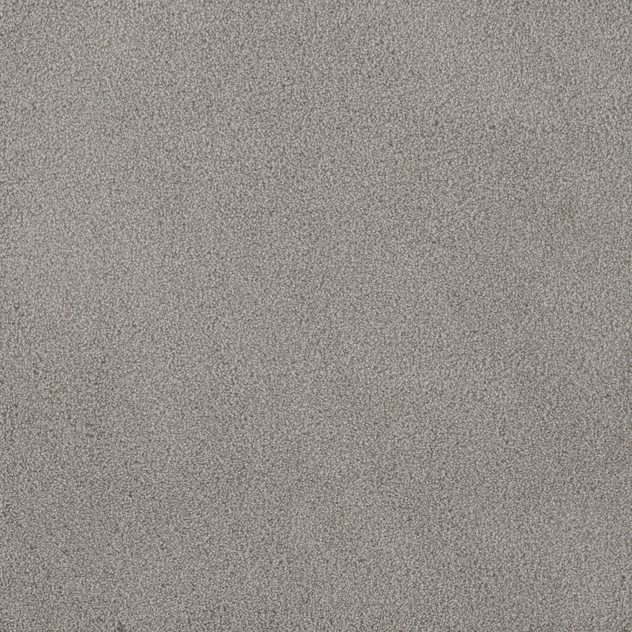 Cascadia Palmetto III swatch