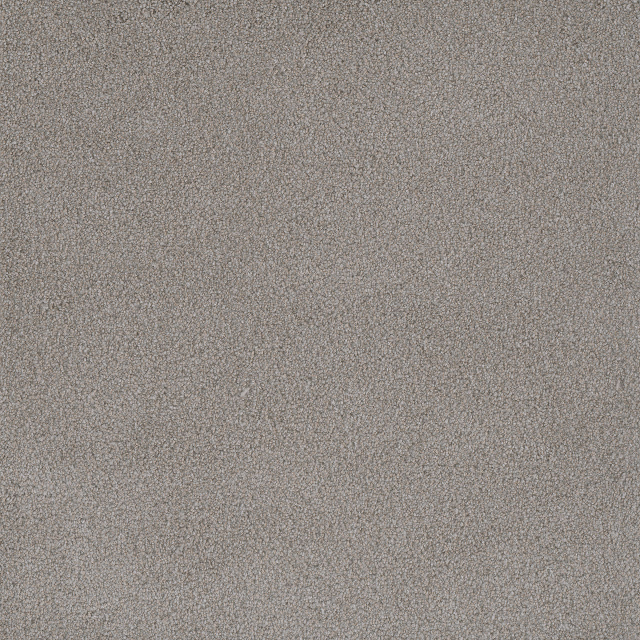 Cherry Blossom Palmetto III swatch
