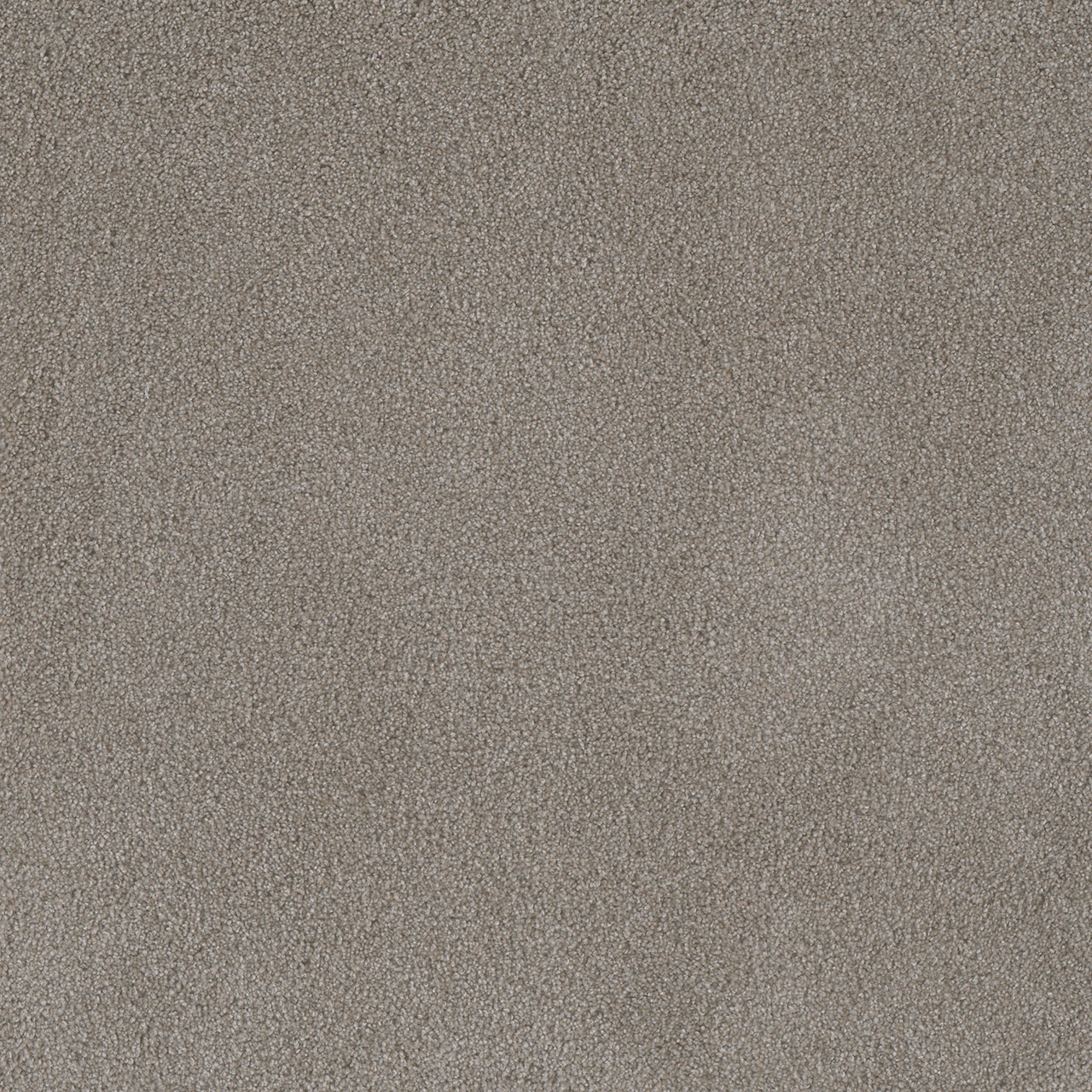 Havana Palmetto III swatch