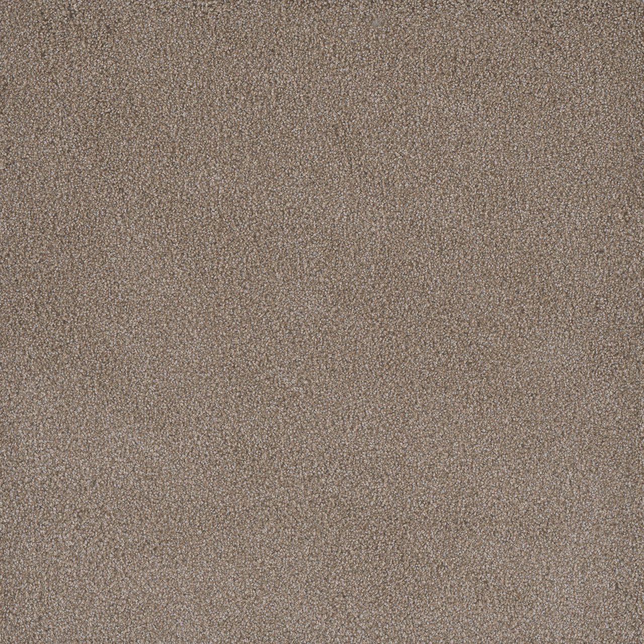 Marigold Palmetto III swatch