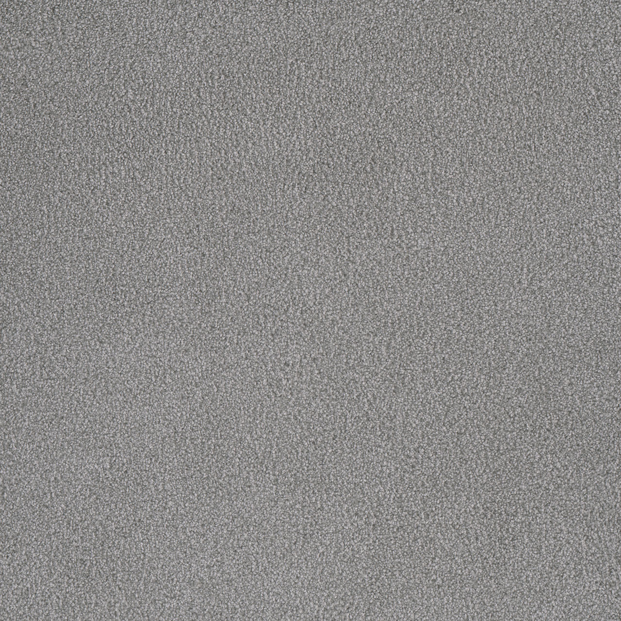 Morning Glory Palmetto III swatch