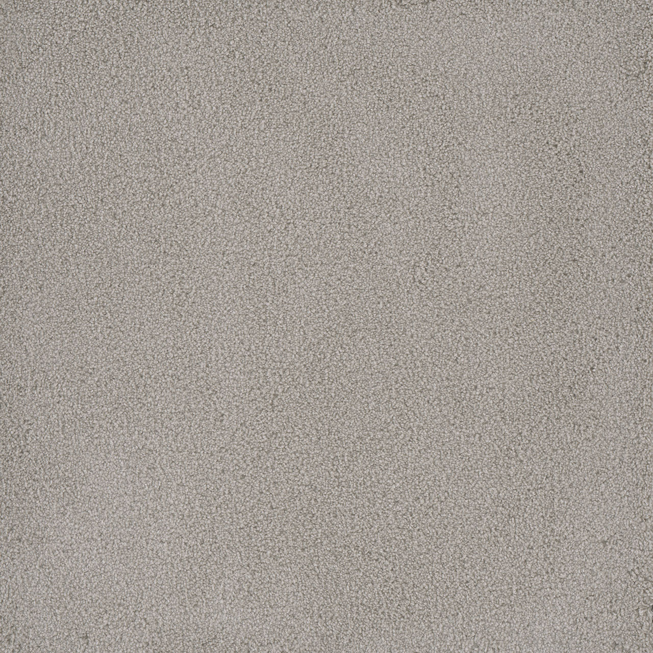 Royalty Palmetto III swatch
