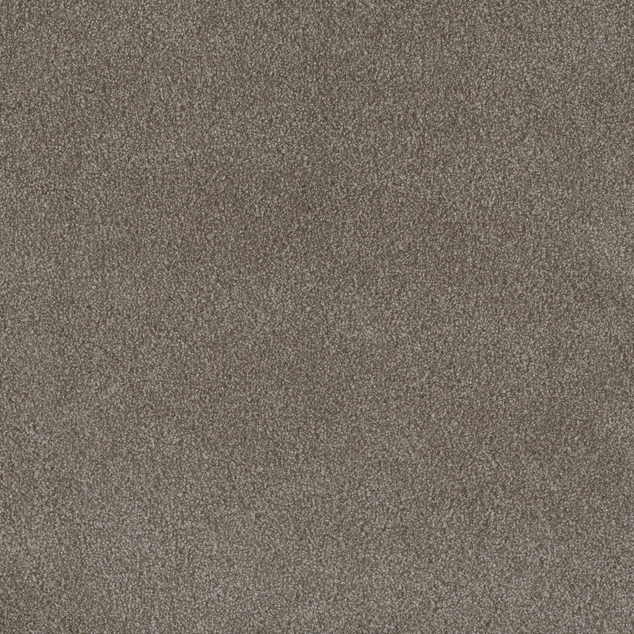 Vienna Palmetto III swatch