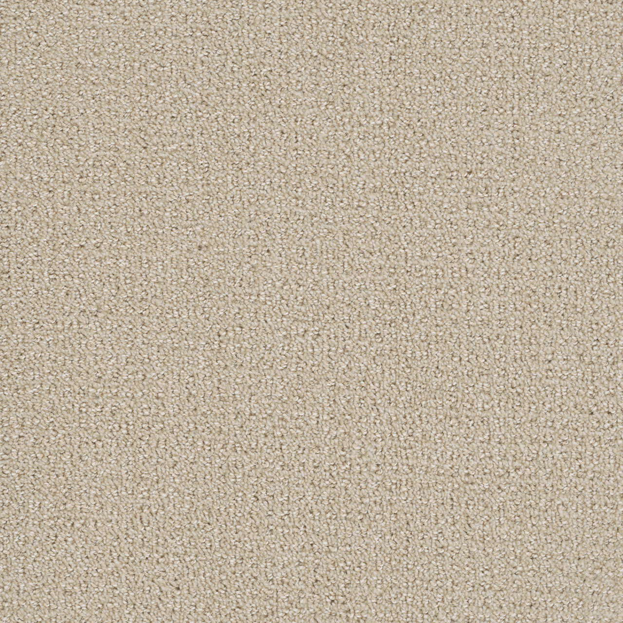 Champagne Fizz Pinpoint swatch