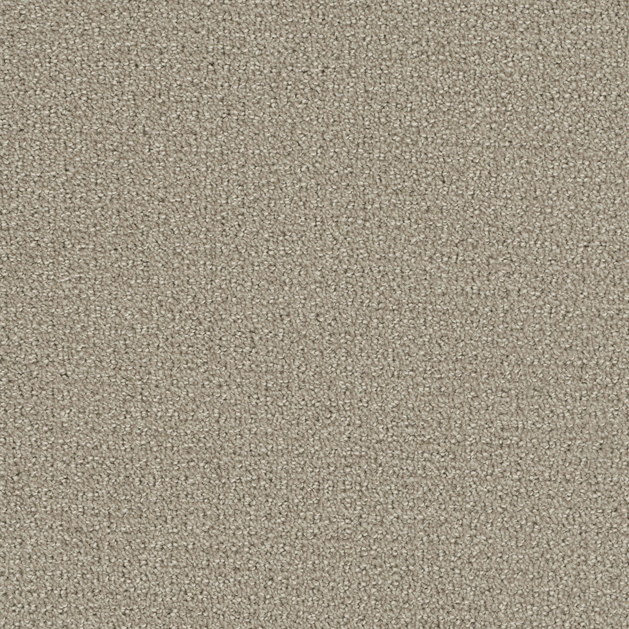 Moon Mist Pinpoint swatch