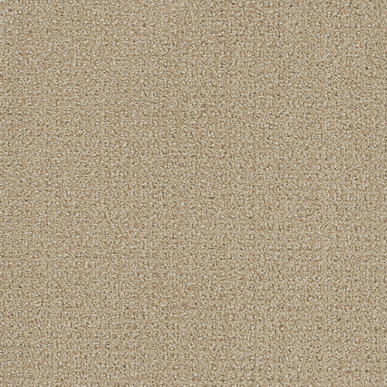 Soft Pine Pinpoint swatch