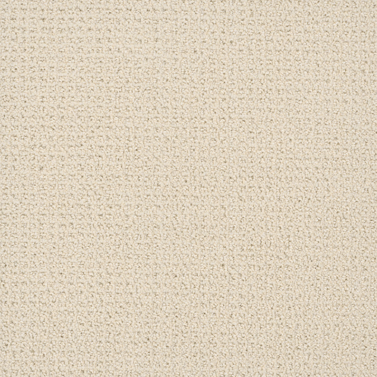 Vanilla Whip Pinpoint swatch