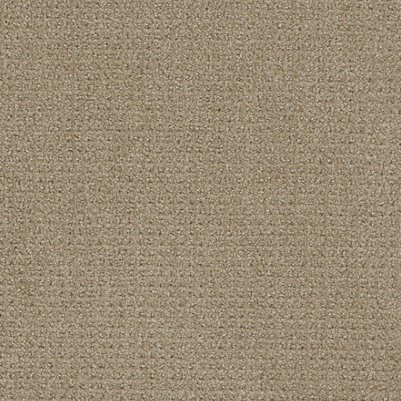 Warm Sand Pinpoint swatch