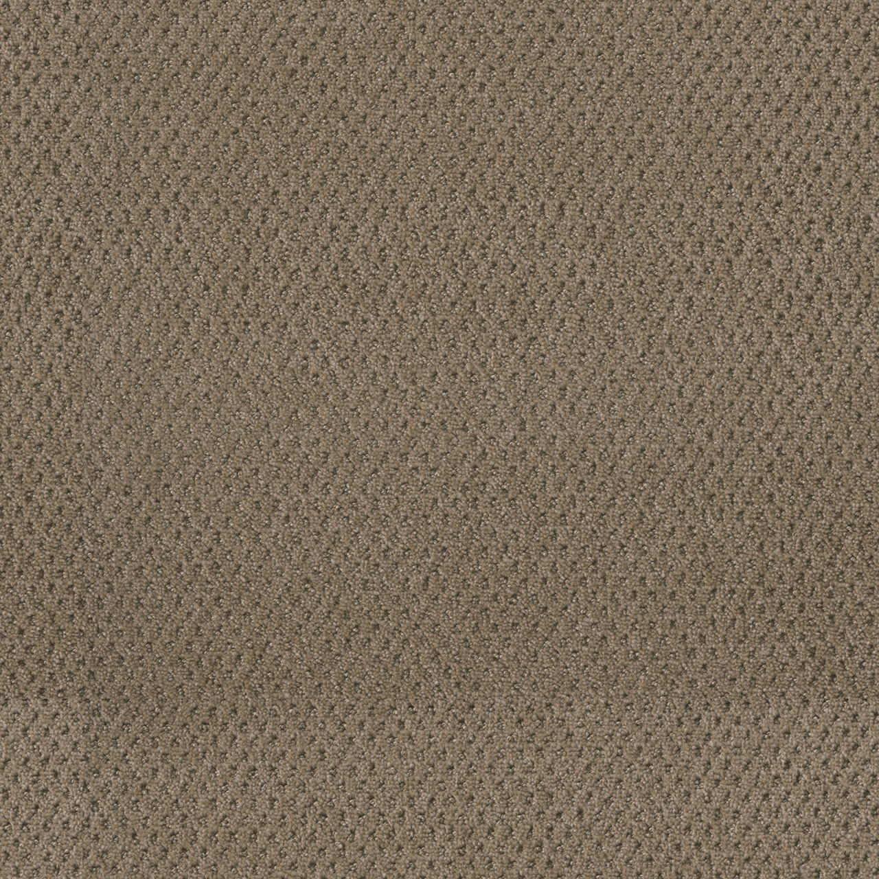 Deer Path Prime swatch