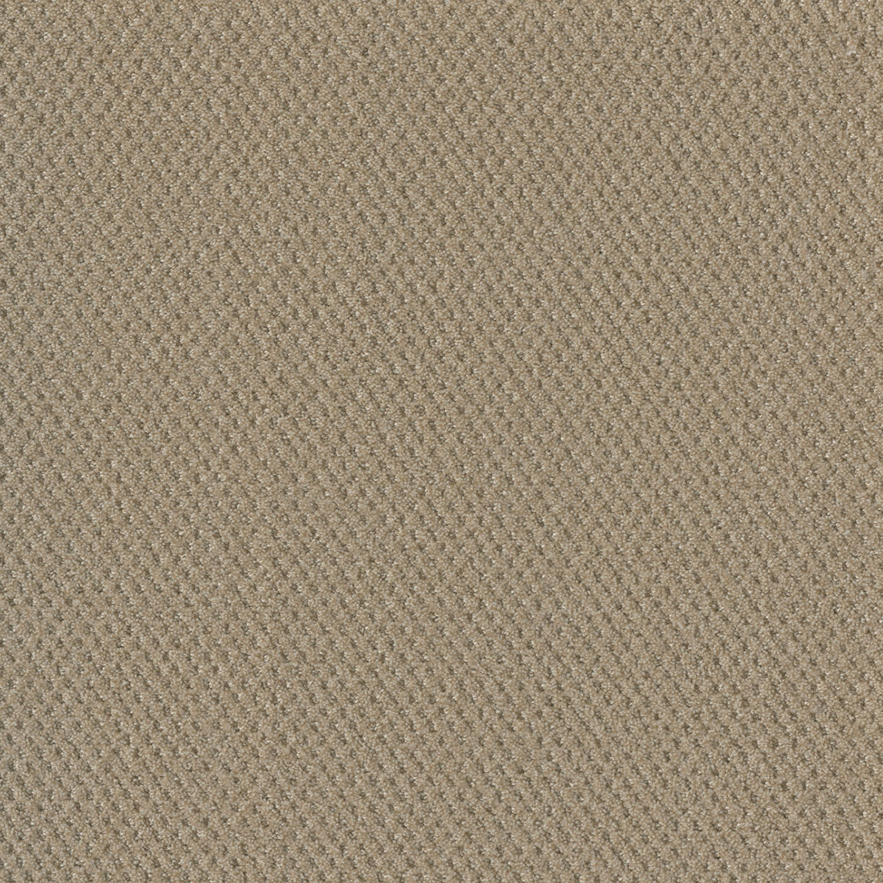 Soft Pine Prime swatch
