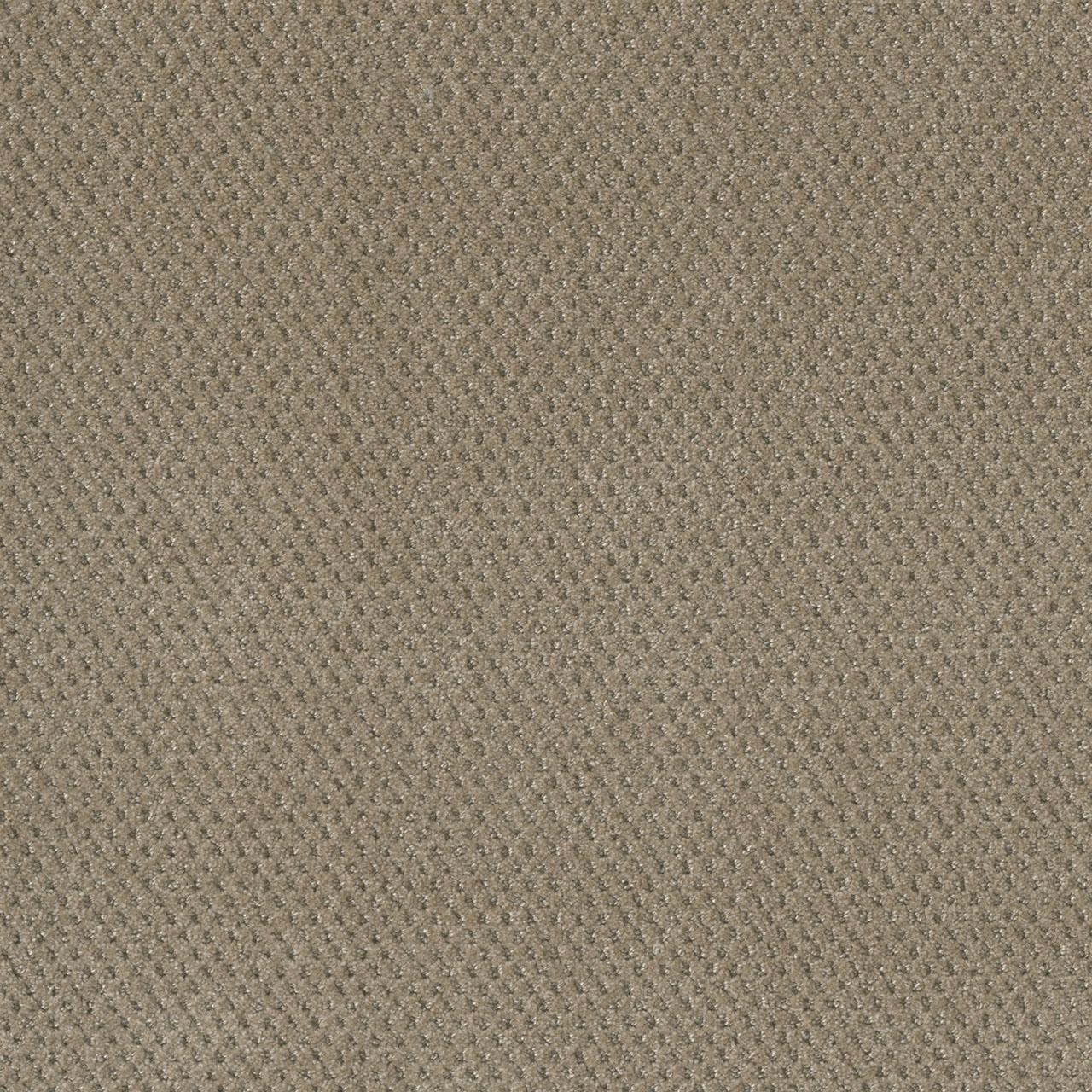 Warm Sand Prime swatch