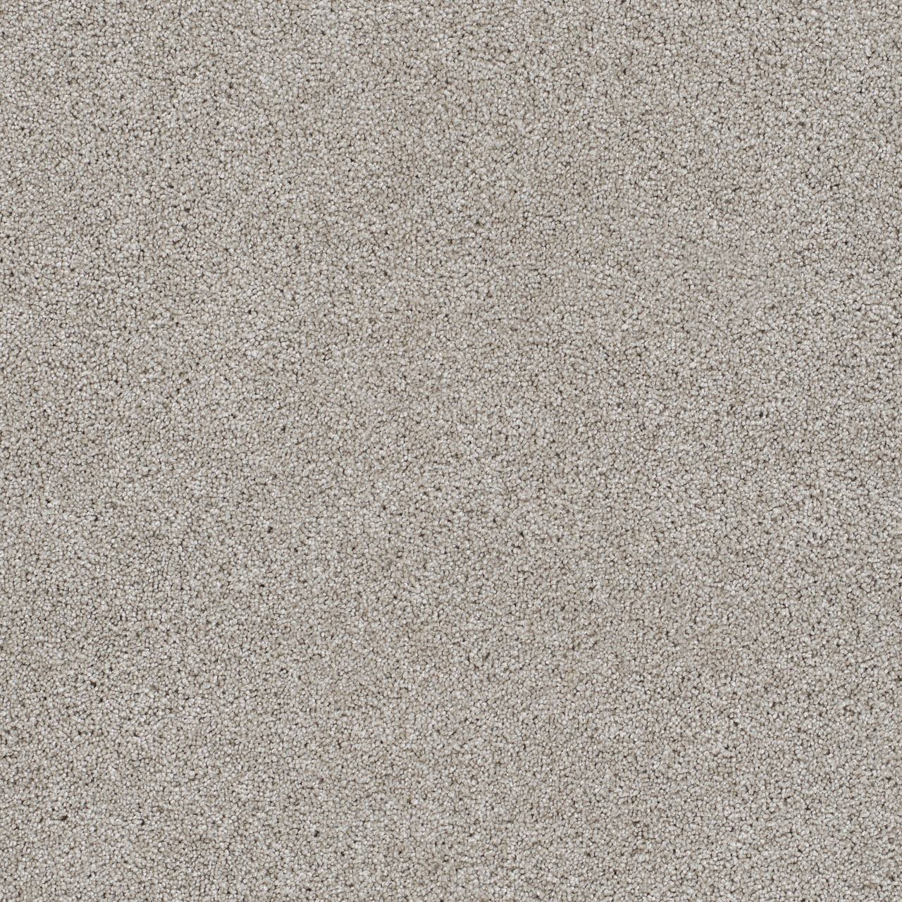 Acadia Reflections II swatch