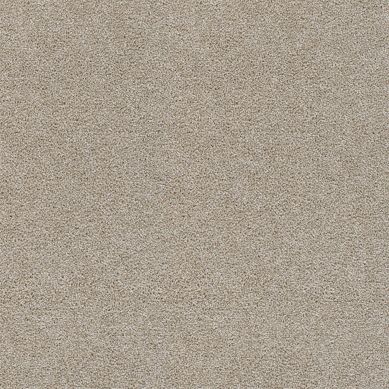 Beach Sand Rock Solid I swatch