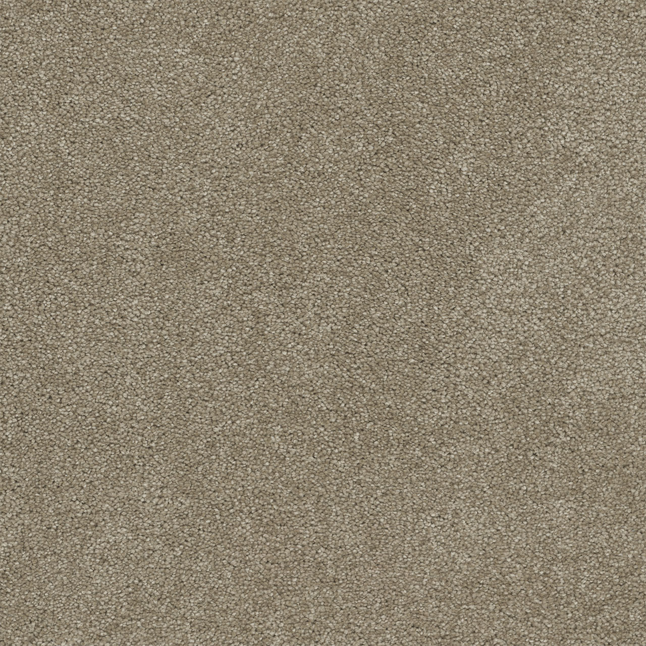 Buff Rock Solid I swatch