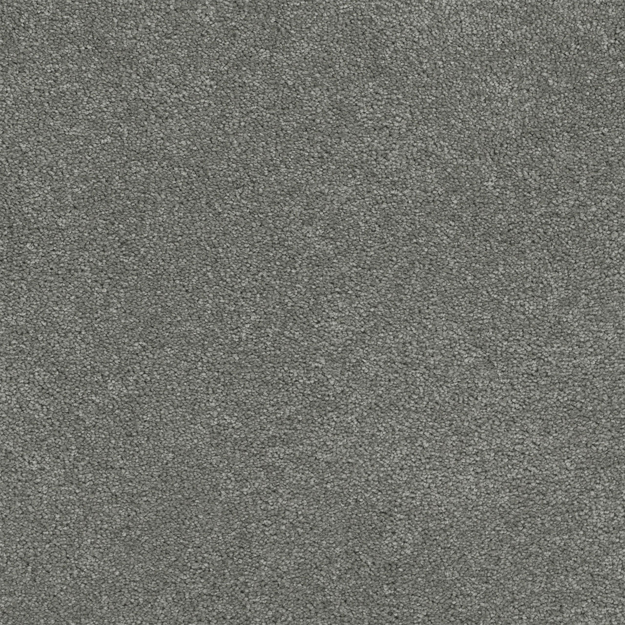 Dark Platinum Rock Solid I swatch